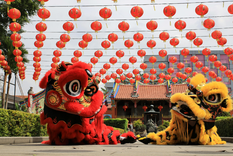 El Año del Caballo se presenta, así, como un ciclo marcado por el movimiento y la acción, ideal para quienes estén dispuestos a avanzar con determinación, pero también con conciencia y equilibrio.