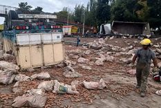 El vuelco del camión en el Acceso Sur. Foto: Walter Moreno/MDZ - Fotografía con Moto G24