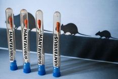 que se sabe del viaje por argentina, chile y uruguay de los turistas que presentaron los primeros sintomas de hantavirus en el crucero y luego murieron