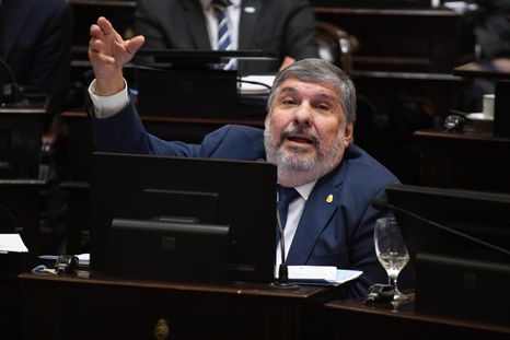 El senador de Unión por la Patria, José Mayans.
