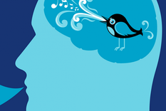 48 de los 319 de usuarios activos en twitter son bots 48 de los 319 de usuarios activos en twitter son bots