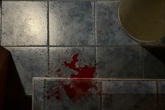 Una familia fue brutalmente golpeada en el barrio Huerto del Sol de Luján de Cuyo Foto: Emilce Vargas Ferrara/MDZ