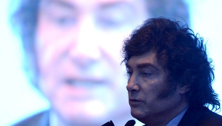 Javier Milei deberá empezar a mostrar resultados económicos. Foto: Juan Mateo Aberastain/MDZ