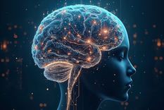 cuando se abandona una actividad, el cerebro va a eliminar esas rutas. 