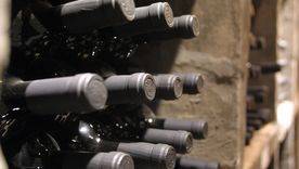 Más allá del complejo panorama que presenta el país y el mundo para el vino, las bodegas tienen oportunidades de crecimiento. Foto: ALF PONCE MERCADO / MDZ