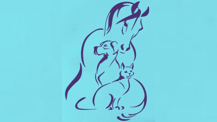 Test de personalidad