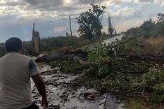 Lluvias intensas por la tormenta de Santa Rosa dañaron cultivos, complicaron logística y anticiparon subas de precios.