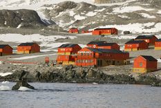 Base Esperanza El recinto se encuentra en las cercanías de donde llegó la expedición Antarctic en 1902 Foto: Foto: Lucas Vallorani