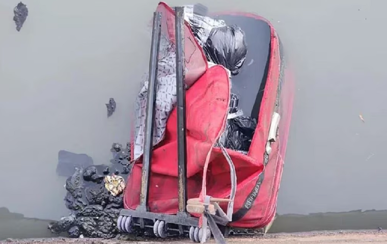 La valija donde aparecieron los restos de Pérez Algaba Foto: Justicia Federal