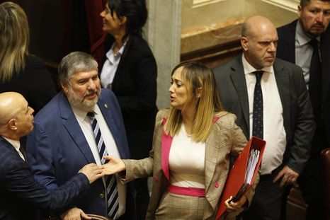 La ley de discapacidad declara la emergencia en todo el país hasta diciembre de 2026. La ley de discapacidad declara la emergencia en todo el país hasta diciembre de 2026.