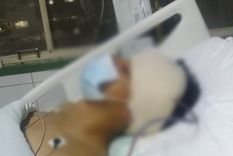 El joven se recupera lentamente de la paliza. Las fuertes imágenes fueron enviadas por su propia familia