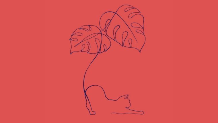 Test de personalidad