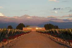 Julia se va de Finca Sophenia.