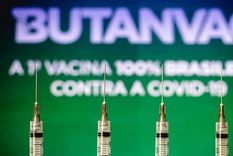 El viernes, el Instituto Butantan informó que solicitaba la autorización de las entidades reguladoras brasileñas para iniciar los ensayos clínicos en humanos de su candidata a vacuna contra covid-19. Foto: LIGHTROCKET VIA GETTY IMAGES