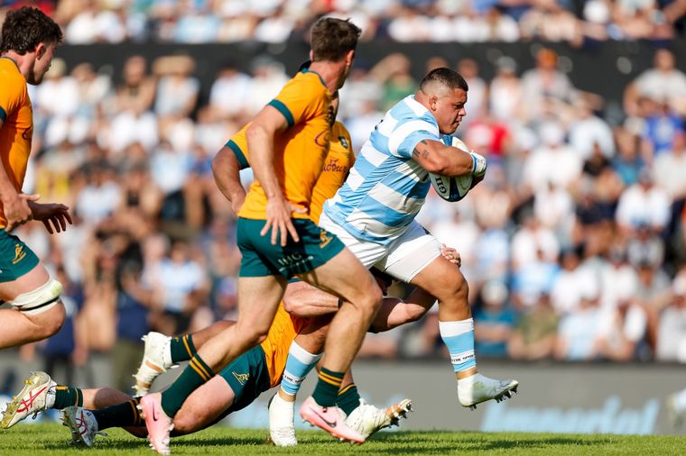 Los Pumas juegan ante Australia por la tercera fecha del Rugby Championship.&nbsp;