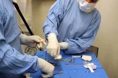 MDZol | El derecho a la salud busca disfrutar el grado máximo de salud., no podemos alcanzar una vida digna si no gozamos de salud, Foto: MDZ