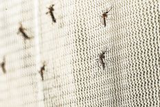 El costo total implica una importante inversión para el hogar Foto: Shutterstock