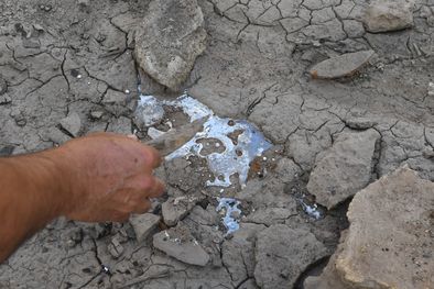 MDZol | Foto: Marcos Garcia/MDZ