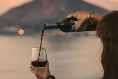 un malbec mitad argentino, mitad frances