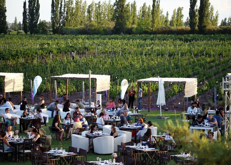 El enoturismo es un modo de llevar el vino a Brasil Foto: Gentileza: Municipalidad Maipú