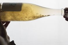 Pet Nat. Foto: Wines of Argentina Pet Nat. Foto: Wines of Argentina