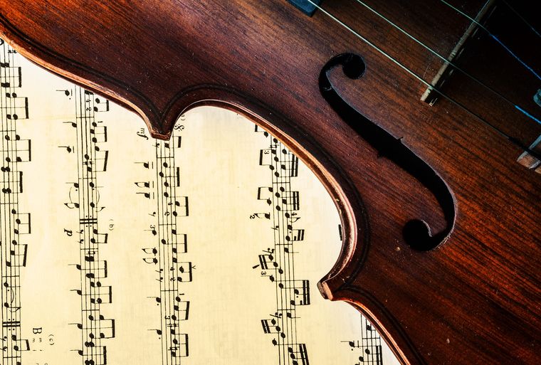 El jardín necesita música clásica. Fuente: Freepik.