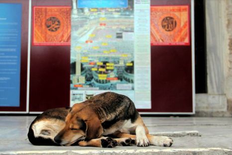 Se busca identificar al responsable. Se busca identificar al responsable.