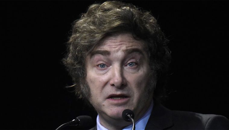 Javier Milei estuvo muy activo en redes sociales Foto: Juan Mateo Aberastain/MDZ