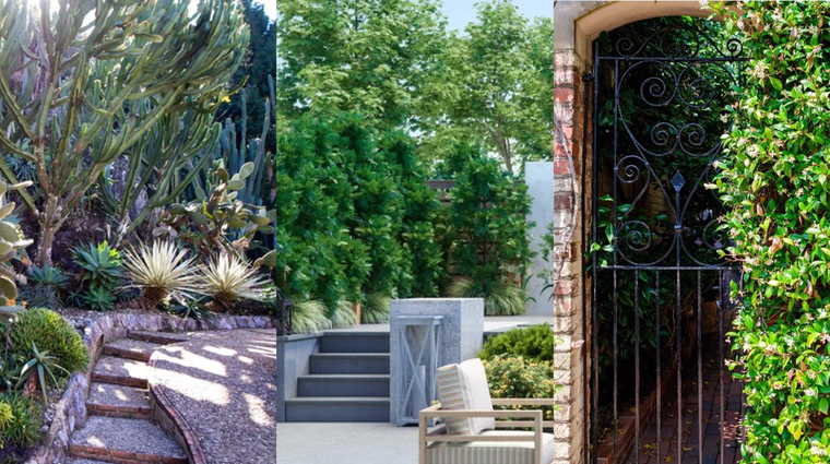 Las plantas son una buena alternativa para proteger una vivienda. Foto: homesandgardens.com