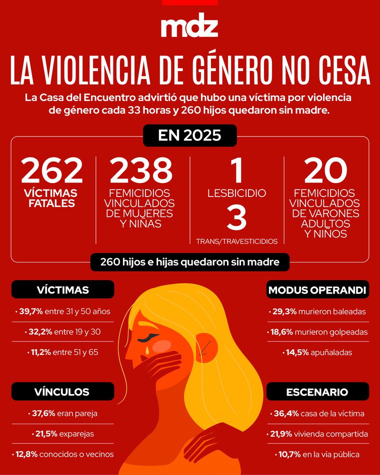 En 2025 hubo una víctima fatal por violencia de género cada 33 horas. En 2025 hubo una víctima fatal por violencia de género cada 33 horas.