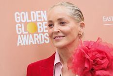 Sharon Stone contó cuál es el grave problema de salud que tiene que no la deja trabajar. Foto: Robin L. Marshall (Wireimage)