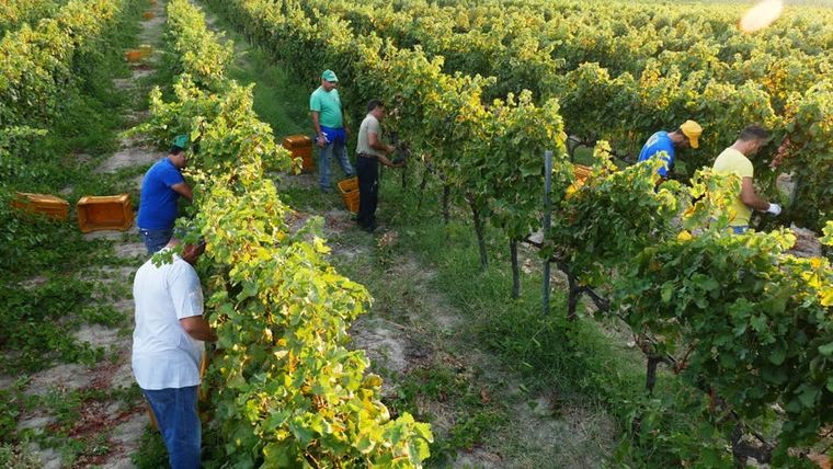 Una decisión de COVIAR acorde a los tiempos.