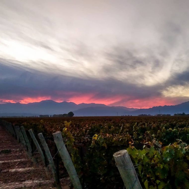 Atardecer entre viñedos, de @lodgeayresdeuco Atardecer entre viñedos, de @lodgeayresdeuco