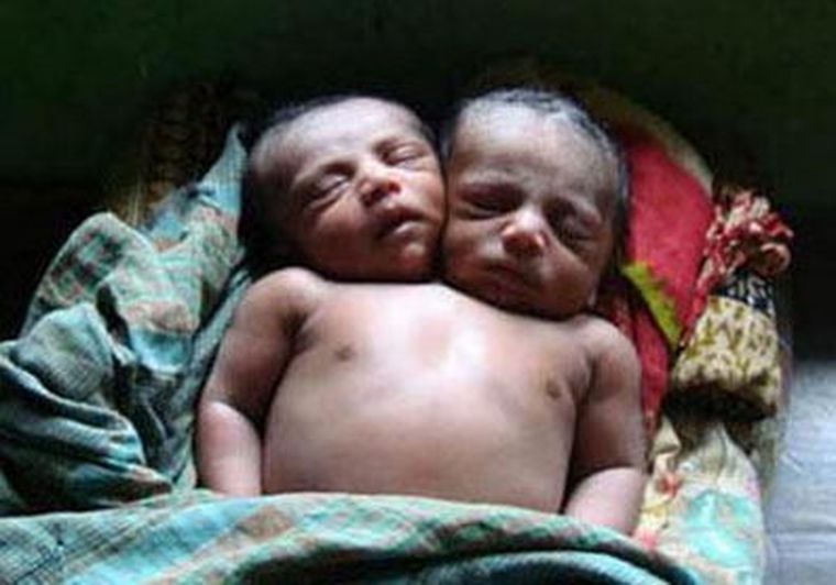 Foto: Daily Telegraph