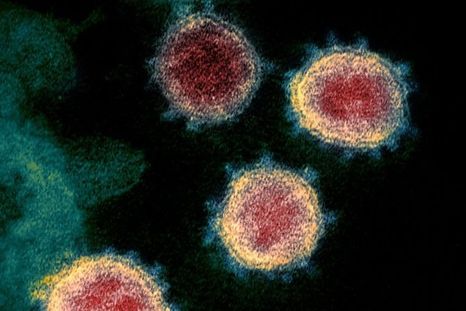 La nueva variante del coronavirus encontrada en Sudáfrica está vinculada a un aumento del número de infecciones. Foto: GETTY IMAGES