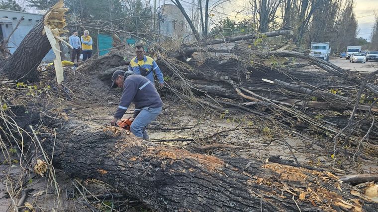 Luján, uno de los departamentos más afectados Foto: Luján de Cuyo
