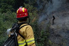 El viento complica el combate del incendio en el Parque Nacional Los Alerces,