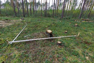 MDZol | descubrimiento, arqueología