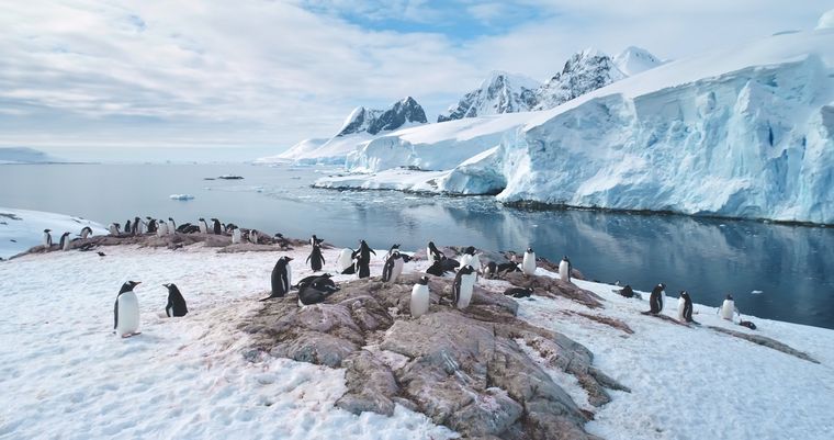 Dos excursiones turísticas, accesibles, inéditas y extraordinarias permiten visitar la Antártida.