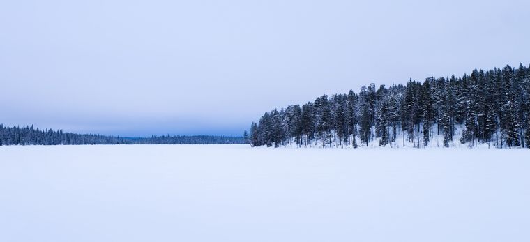 El hallazgo arqueológico se hizo a 80 kilómetros del Ártico Foto: Shutterstock