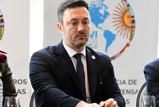 El ministro de Defensa, Luis Petri, habló tras pedirle la renuncia al jefe de la Fuerza Aérea Foto: ALF PONCE MERCADO / MDZ