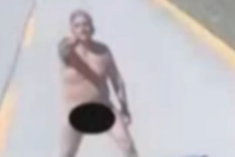 El insólito episodio ocurrió en la ruta internacional CH-255, que une la ciudad de Río Gallegos con Chile. El insólito episodio ocurrió en la ruta internacional CH-255, que une la ciudad de Río Gallegos con Chile.