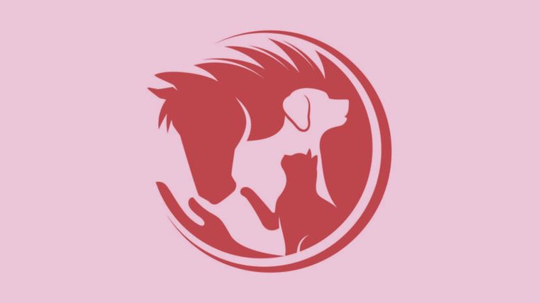 Test de personalidad