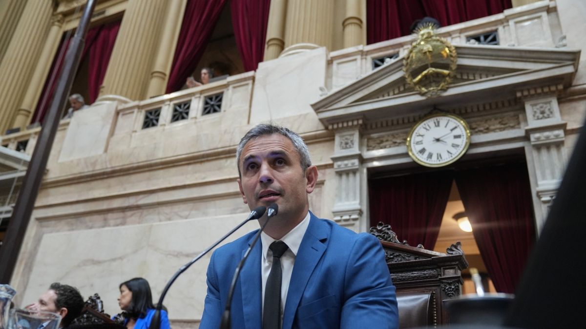 Aumenta la tensión en el Congreso: la oposición denuncia que Martín Menem "cajonea" la reforma de los DNU