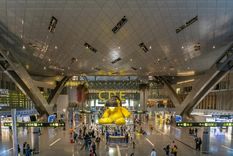 Aeropuerto Internacional Hamad Foto: Shuterstock
