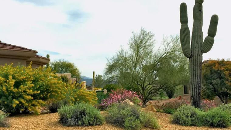 Para un área propensa a incendios forestales  la grava (sedimentos de roca) y la piedra triturada son dos materiales importantes para el paisajismo. Foto: Noelle Johnson/Dry Climate Gardening