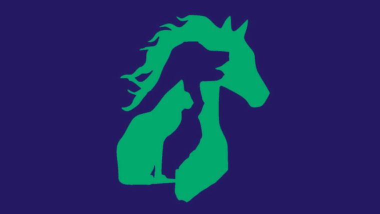 Test de personalidad