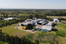 La planta de Knorr ubicada en Guaymallén, Mendoza Foto: Gentileza Unilever