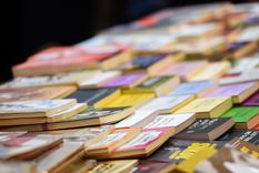 Foto: Santiago Tagua/MDZ