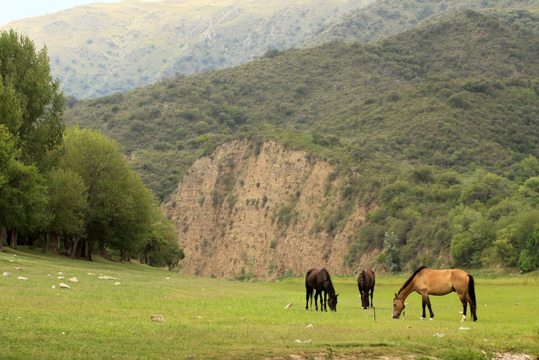 Paisajes serranos de Bialet Massé, donde la naturaleza y la tranquilidad se combinan en un entorno único. Paisajes serranos de Bialet Massé, donde la naturaleza y la tranquilidad se combinan en un entorno único.